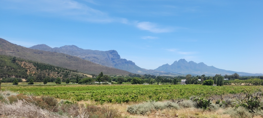 Commercial Property for Sale in Franschhoek Rural Western Cape